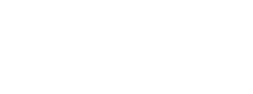 stebilex-newsletter